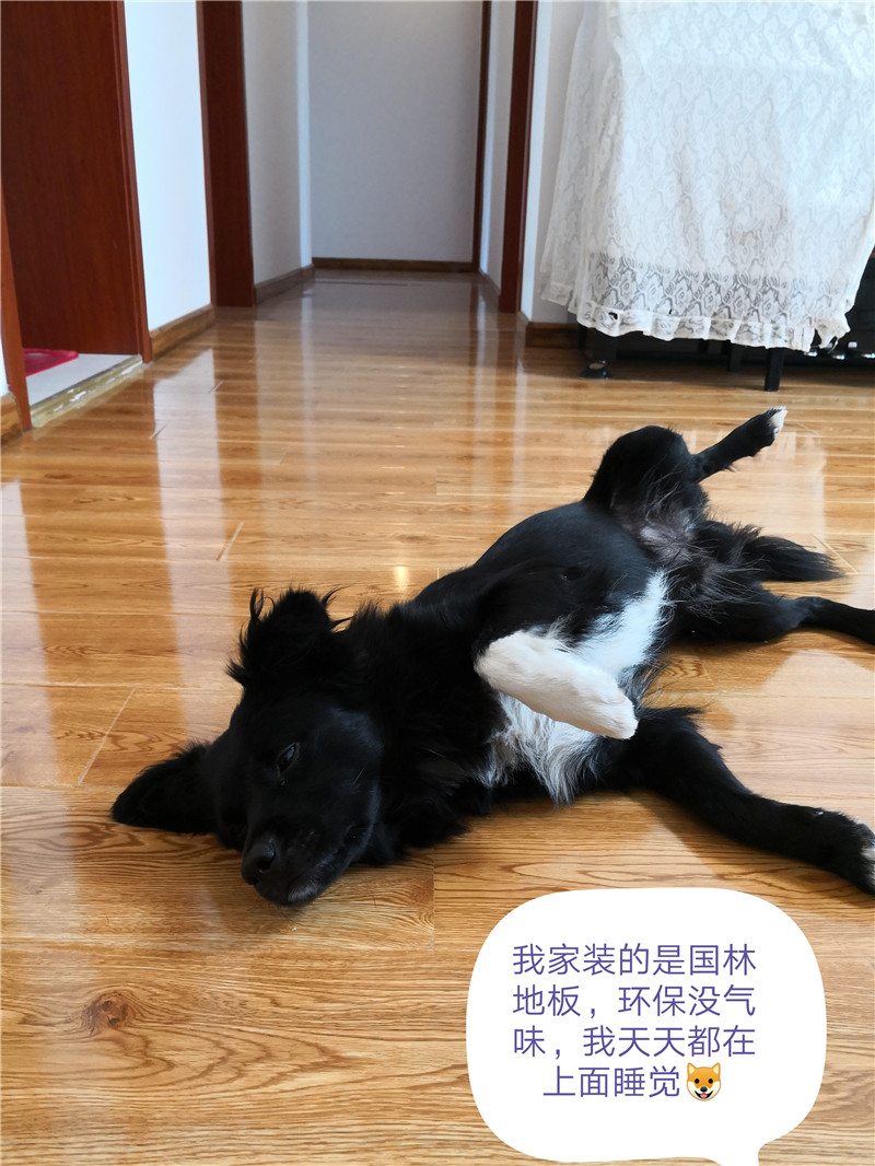 赢博在线平台-赢博(中国)
